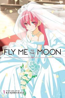 Fly Me to the Moon