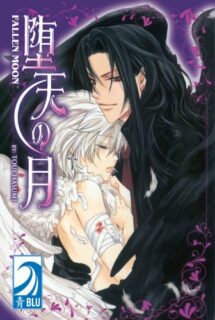 Fallen Moon Daten No Tsuki