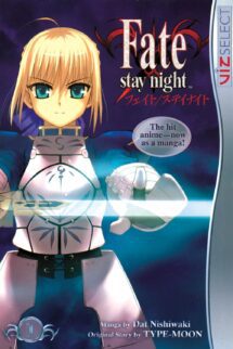 Fate stay night