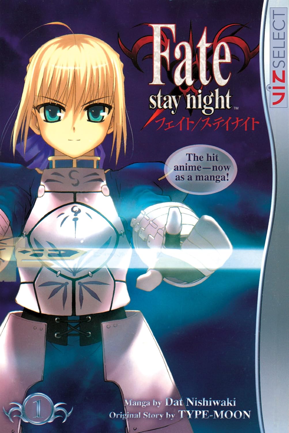 Fate stay night